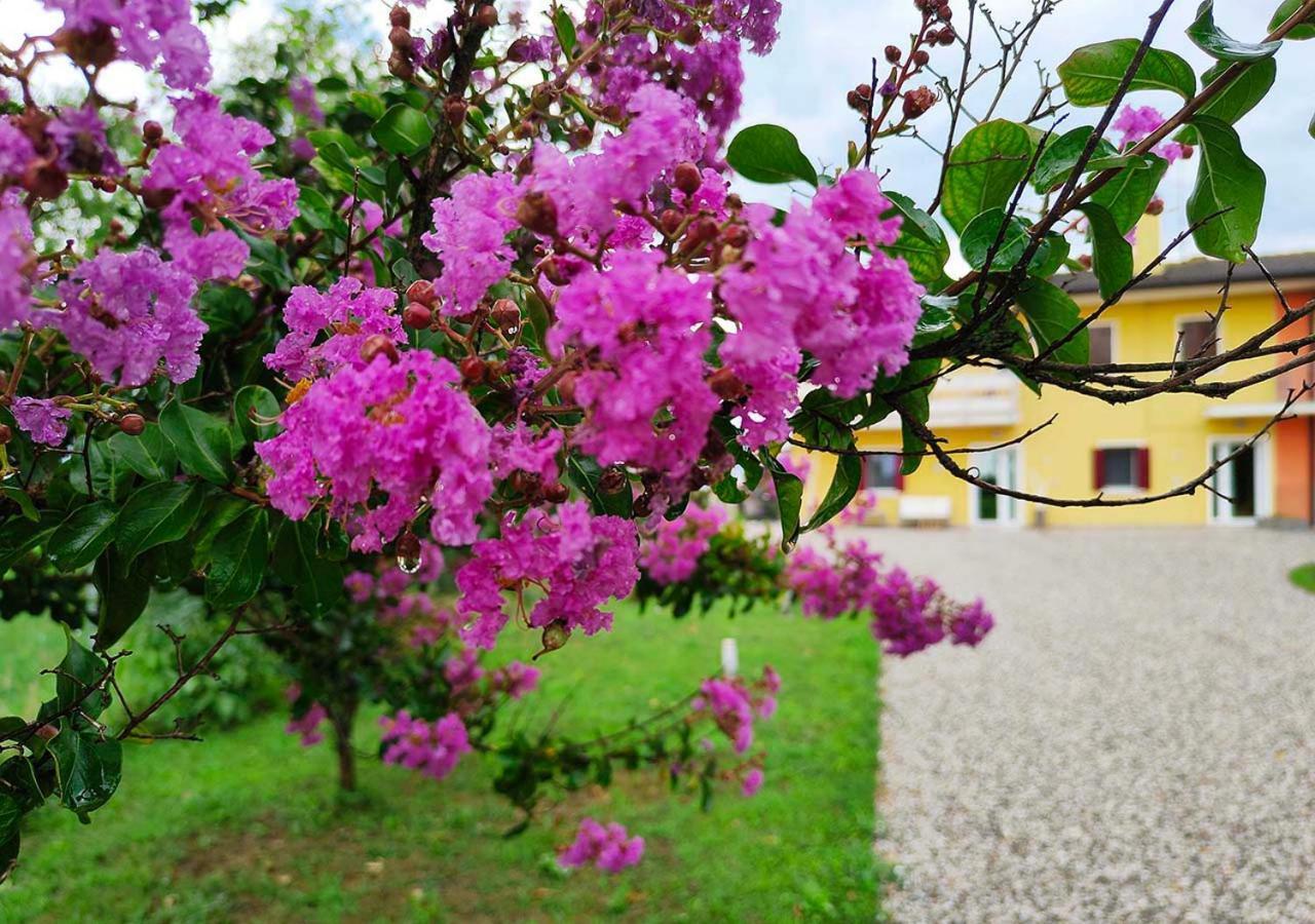 Yard 151 Lejlighed Noventa di Piave Eksteriør billede